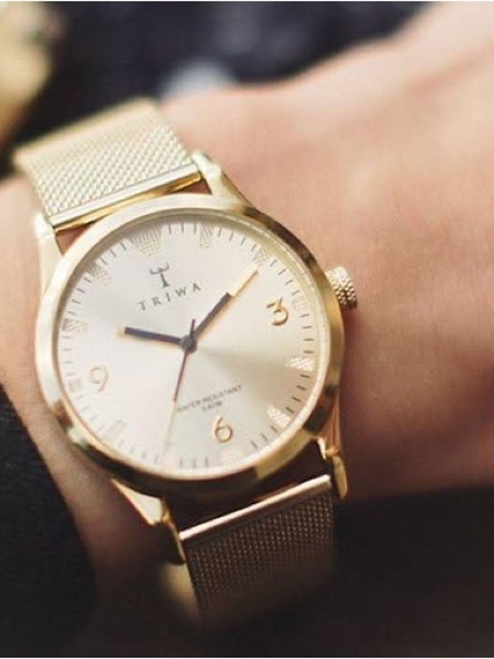 TRIWA Unisex Gold Watch main image 4